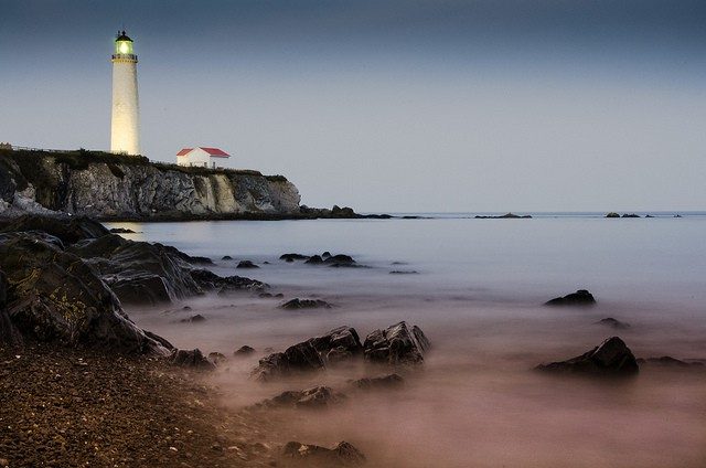Cap des rosiers