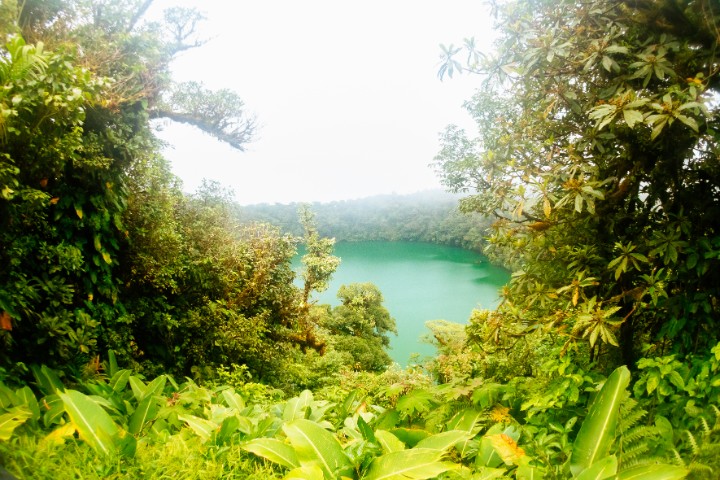 cerro chato jungle costa rica - blog edreams