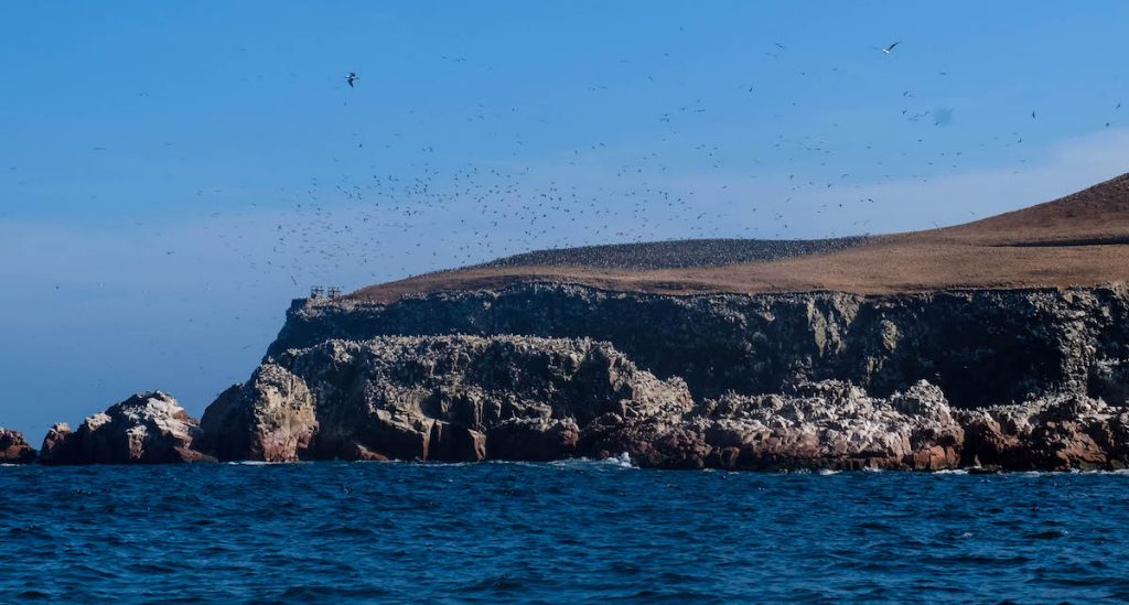 Réserve naturelle Las Islas Ballestas - blog eDreams