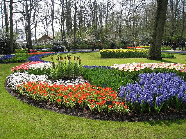 visiter amsterdam hors des sentiers battus keukenhof edreams