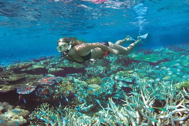 Grande Barrière de Corail en Australie - blog eDreams