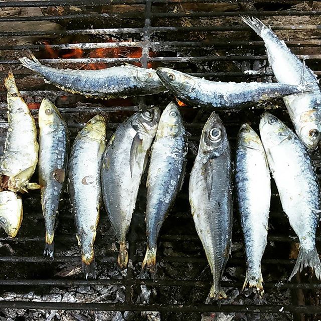 sardine fete de la saint jean porto - blog eDreams