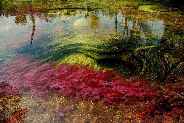 Rio de Los Siete Colores en Colombie - blog eDreams