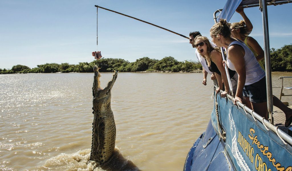 crocodile adelaide river australie - blog edreams