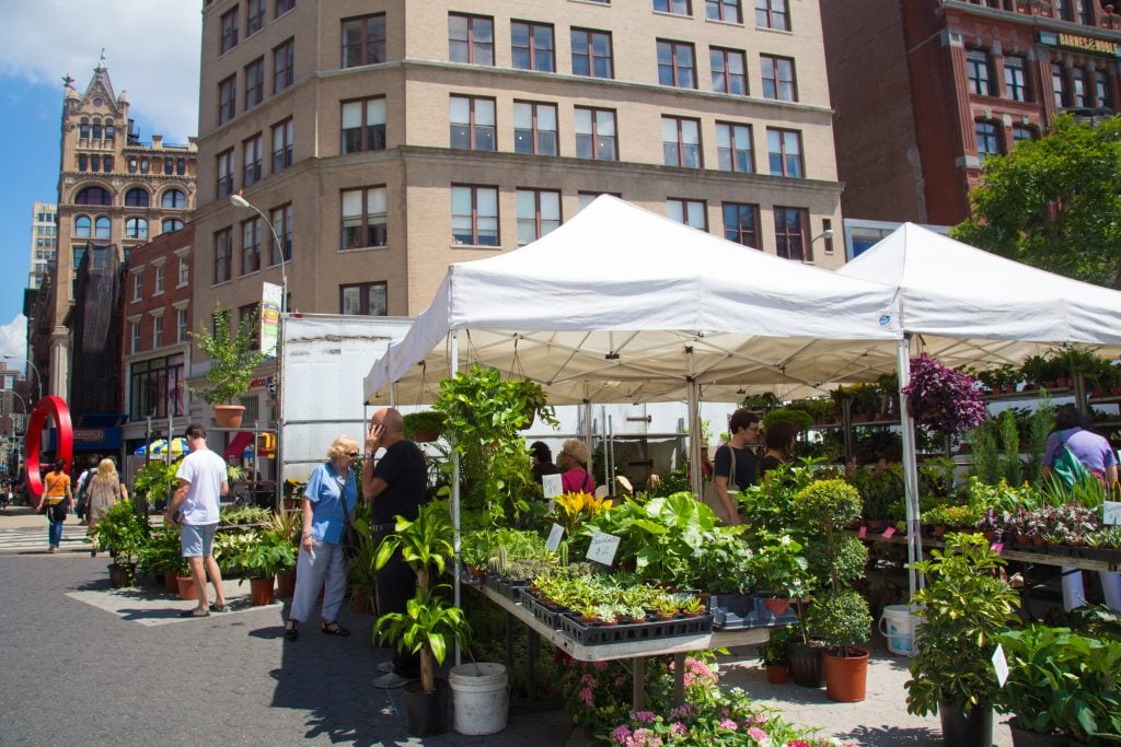 fleurs et plantes à l'Union Square Greenmarket - New York 