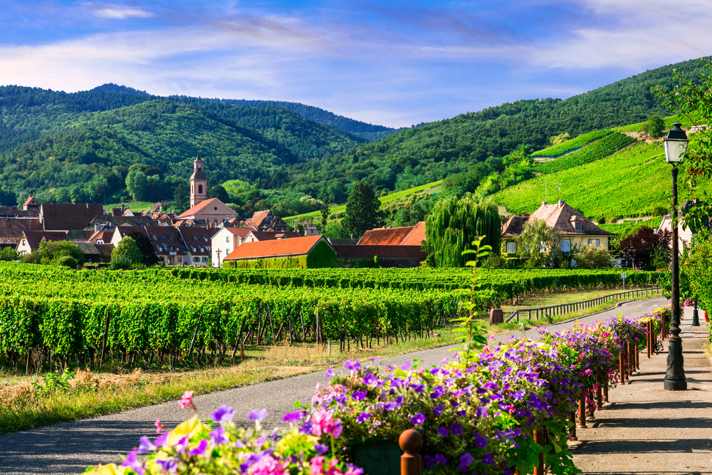 route des vins Alsace