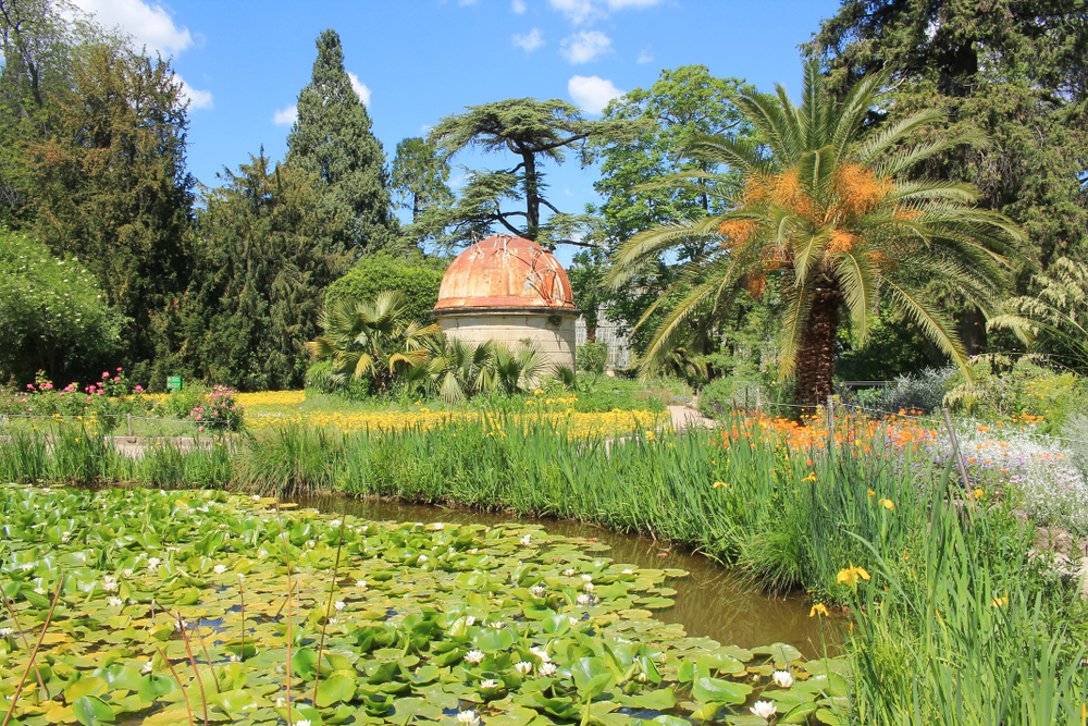 jardin des plantes Montpellier