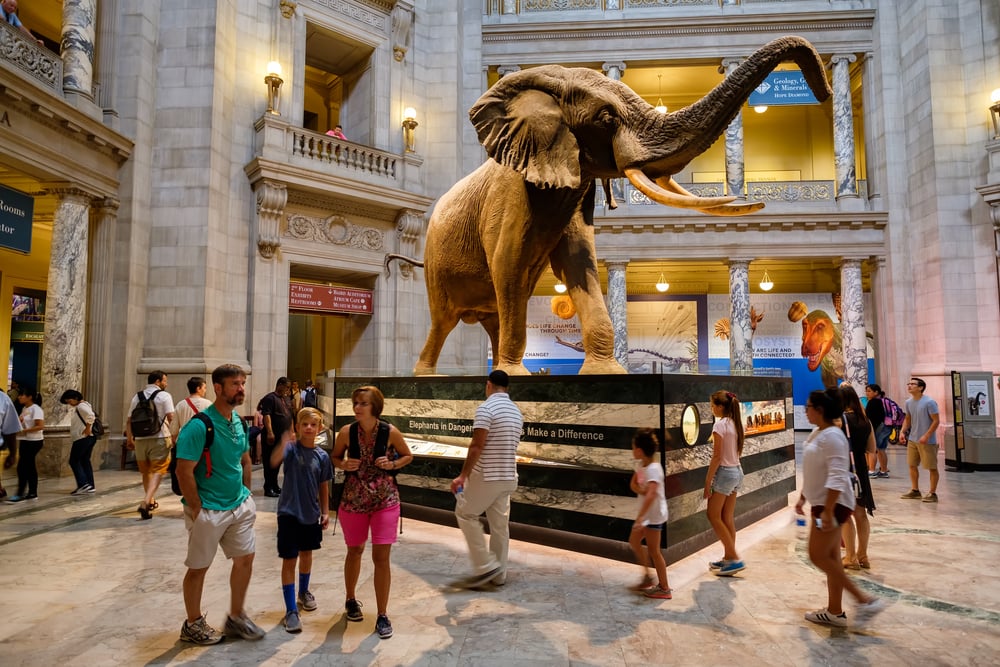 Musée d’histoire naturelle Toulouse