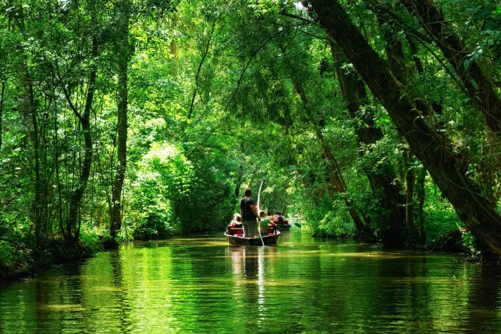 barque marais poitevin