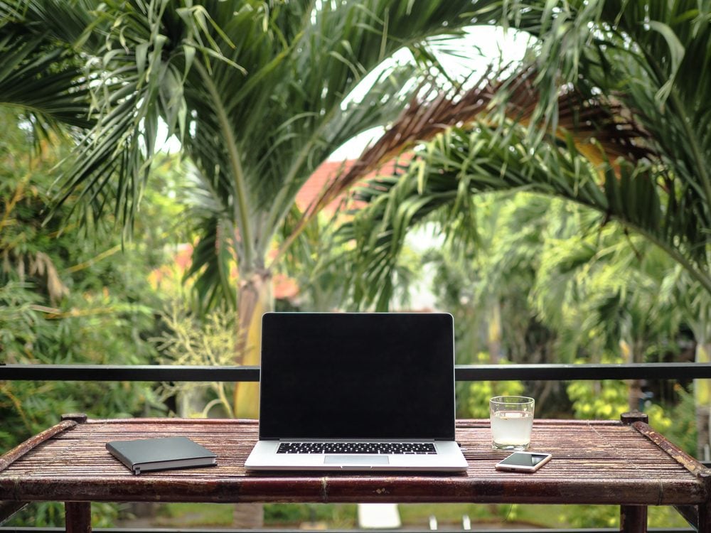 ordinateur portable décor jungle