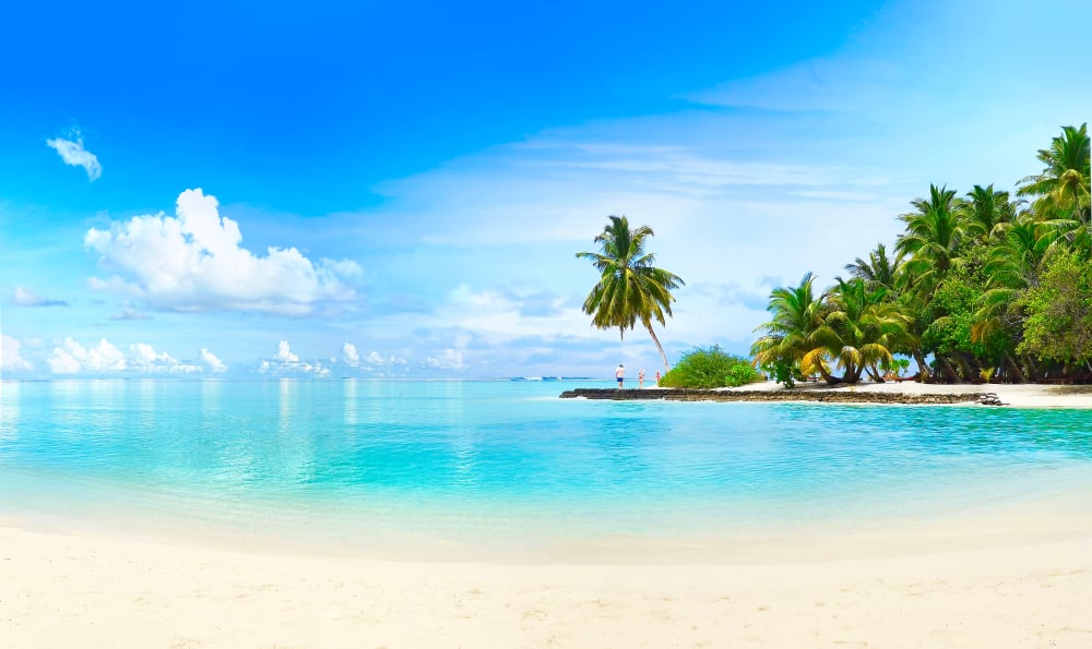 paysage plage tropicale avec palmiers