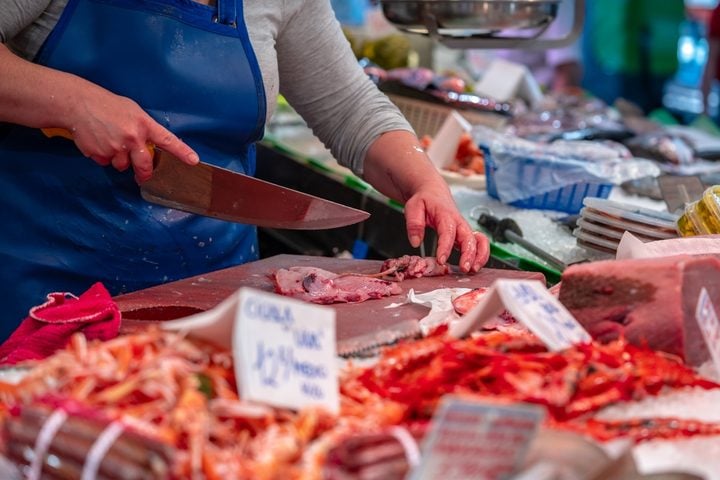 arché du poisson à Vilanova i la geltru