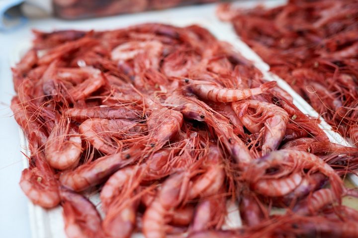 crevettes rouges de Vilanova i la geltru