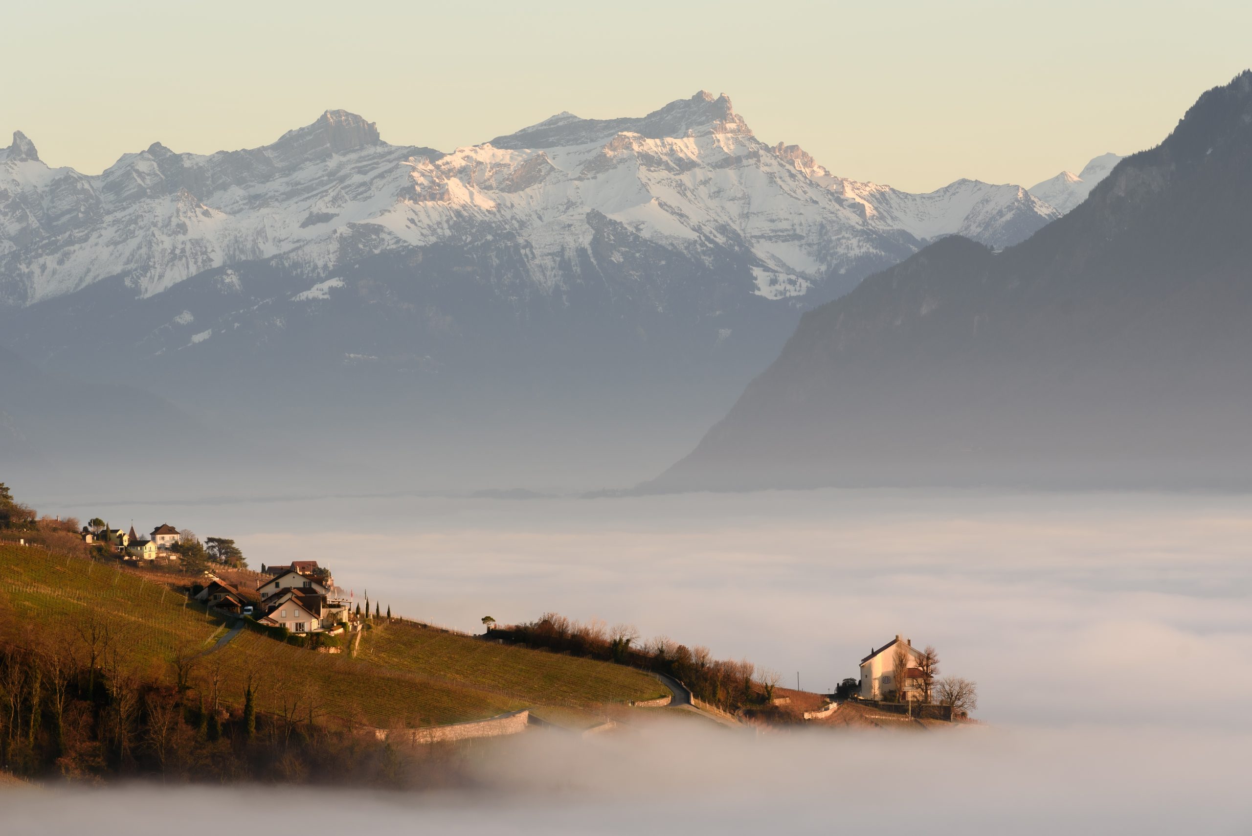 Geneve Suisse