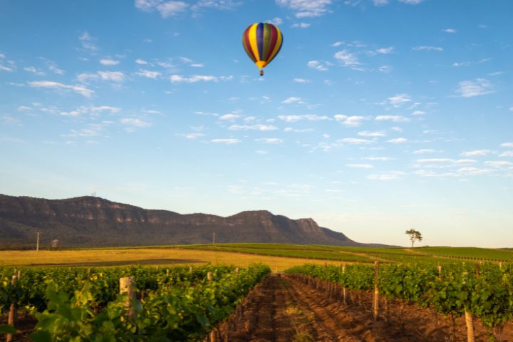 Un ballon au dessus de la Hunter Valley