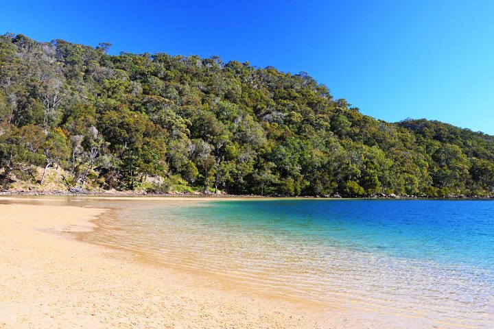 Ku-ring-gai Chase National Park 