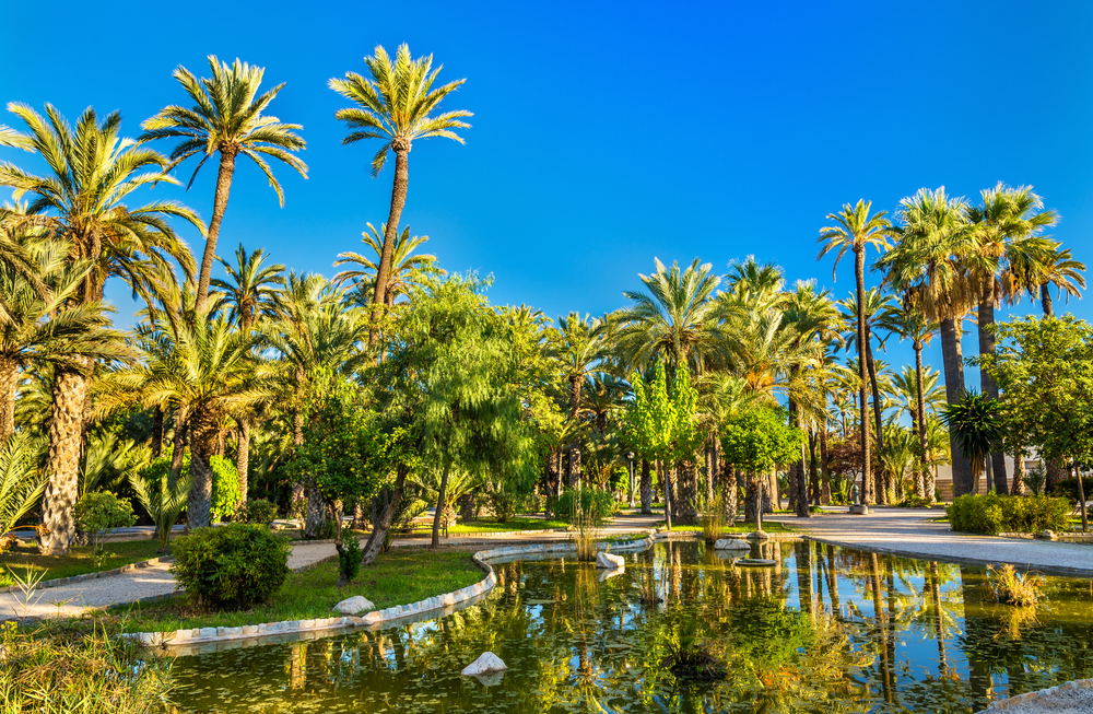 el palmeral de elche alicante