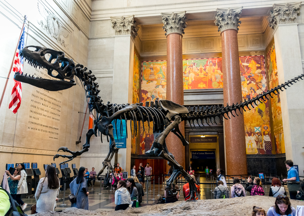 Art et Culture : les meilleurs musées à visiter à New York
