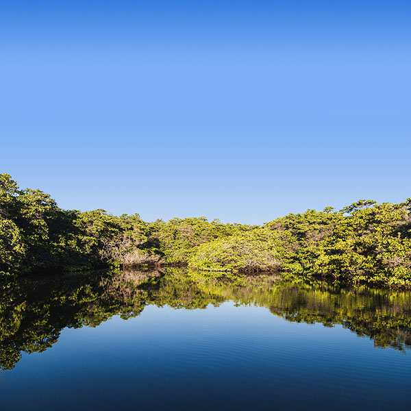 Îles De Galapagos