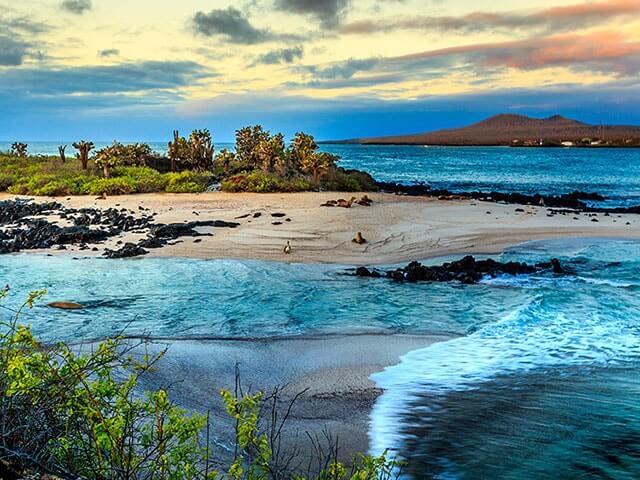 Réserver un vol pour Îles De Galapagos avec eDreams.fr