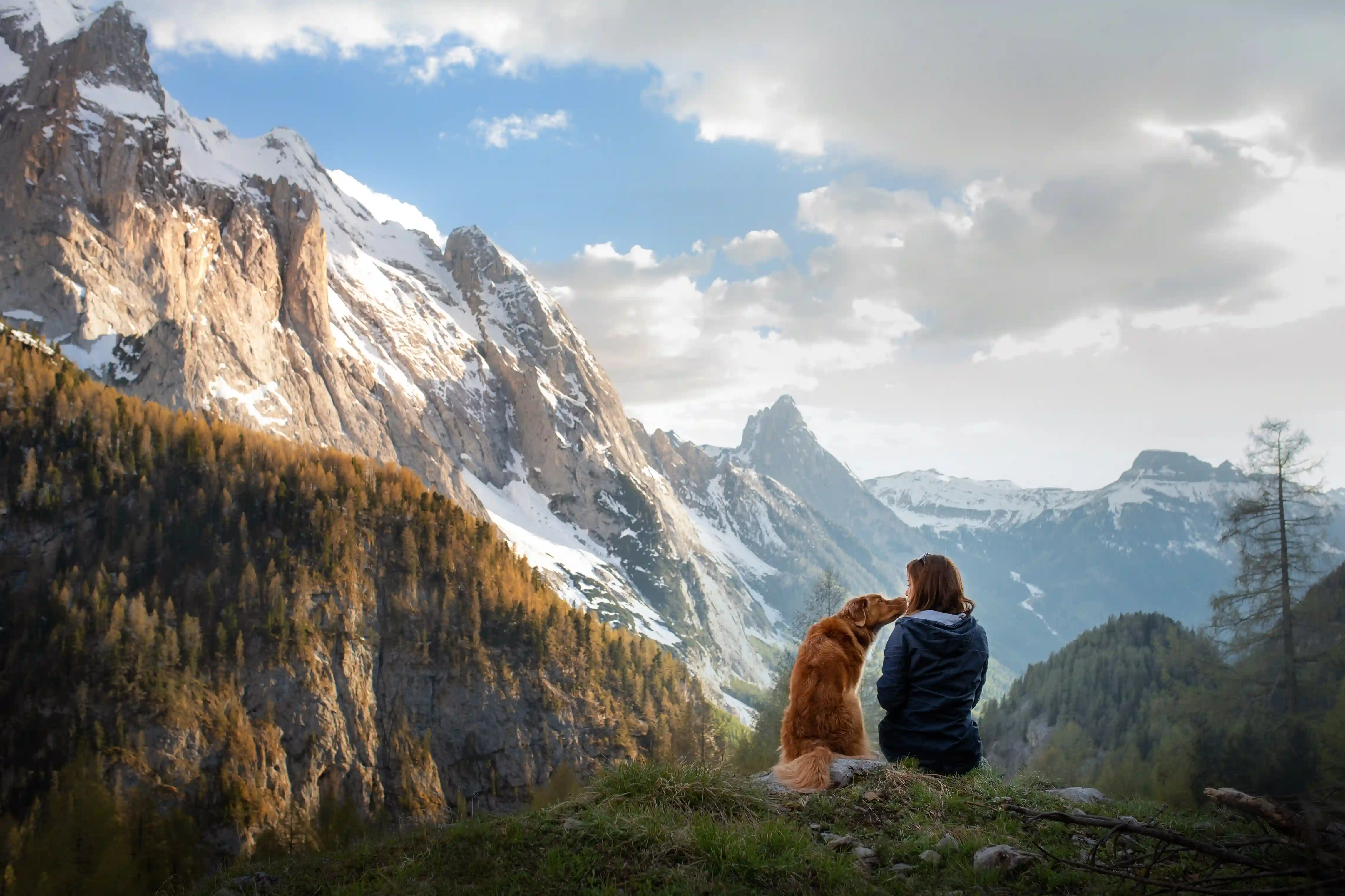 Voler avec un animal | Règles & Astuces